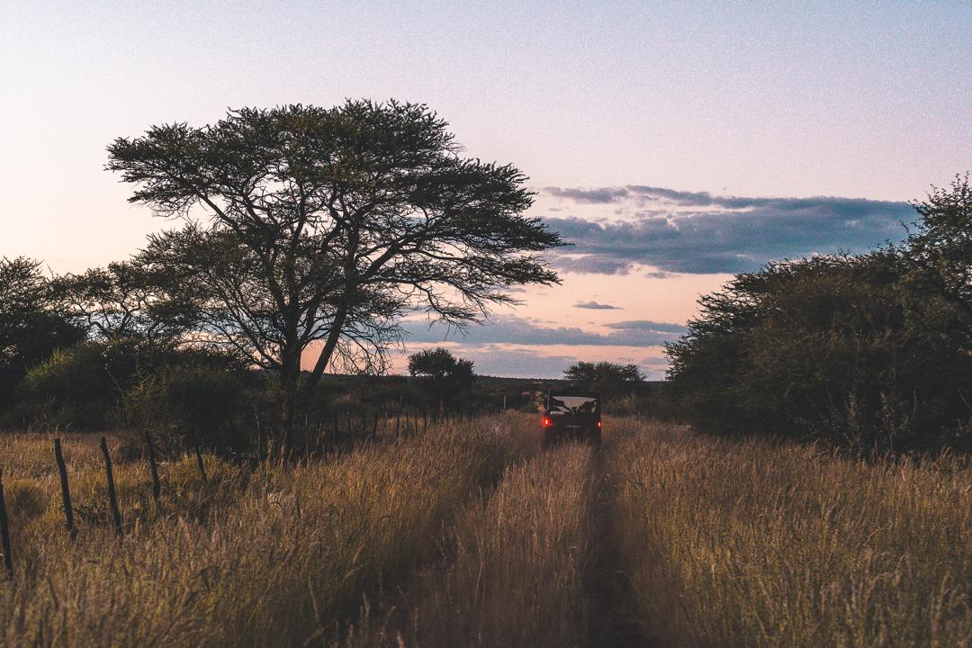 Scenic game drive sundowner