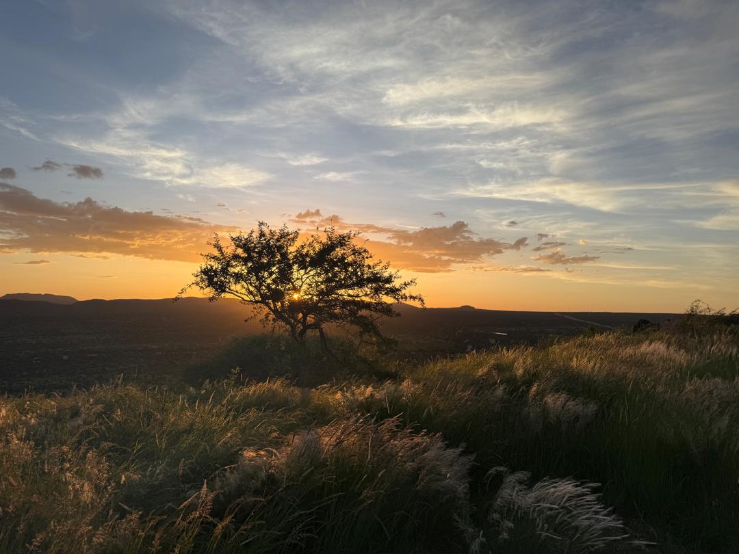 Sundowner scenic drive with game